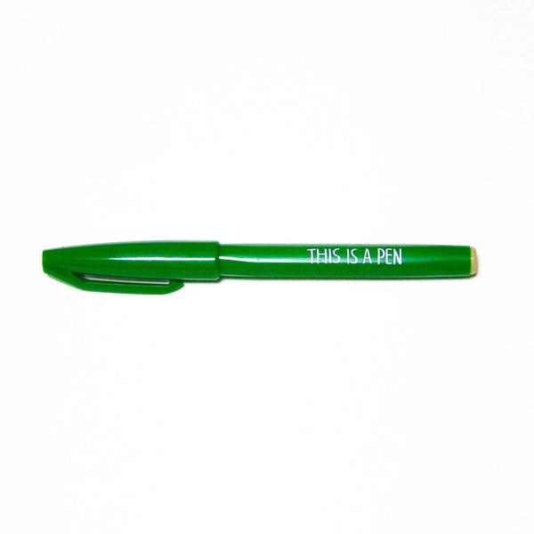 Felt-Tip Pen/ THIS IS A PEN