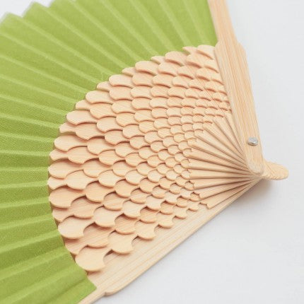 LOTUS fan Shirotake
