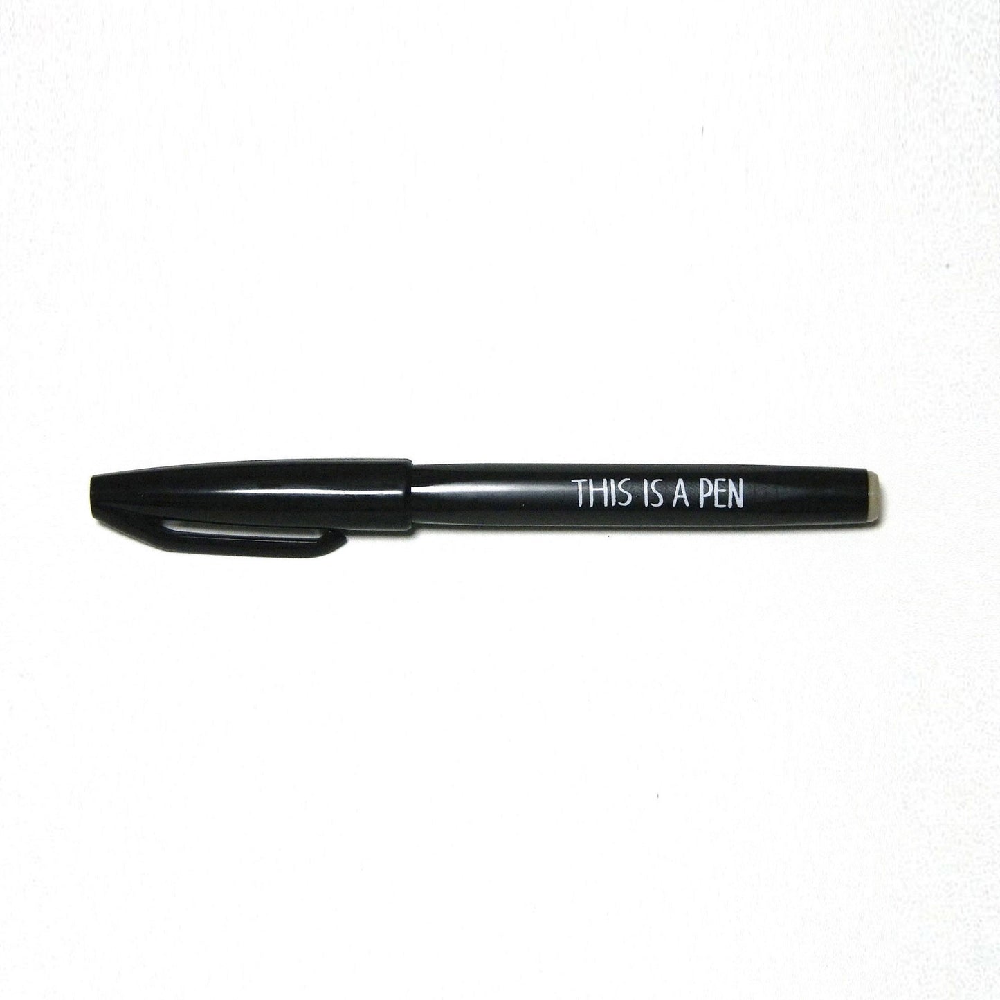 Felt-Tip Pen/ THIS IS A PEN