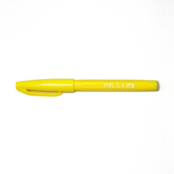 Felt-Tip Pen/ THIS IS A PEN