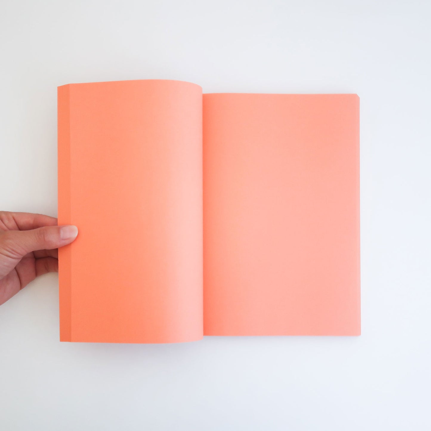 Notebook/ SUN