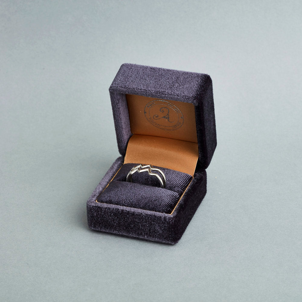 horoscope ring sv925