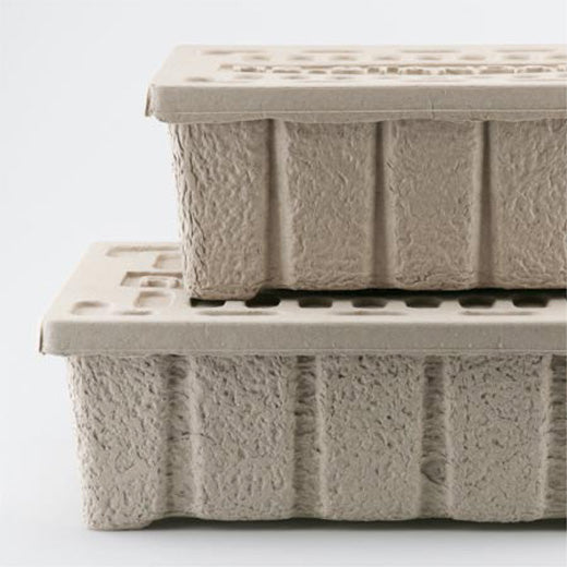 Pulp Box/ S