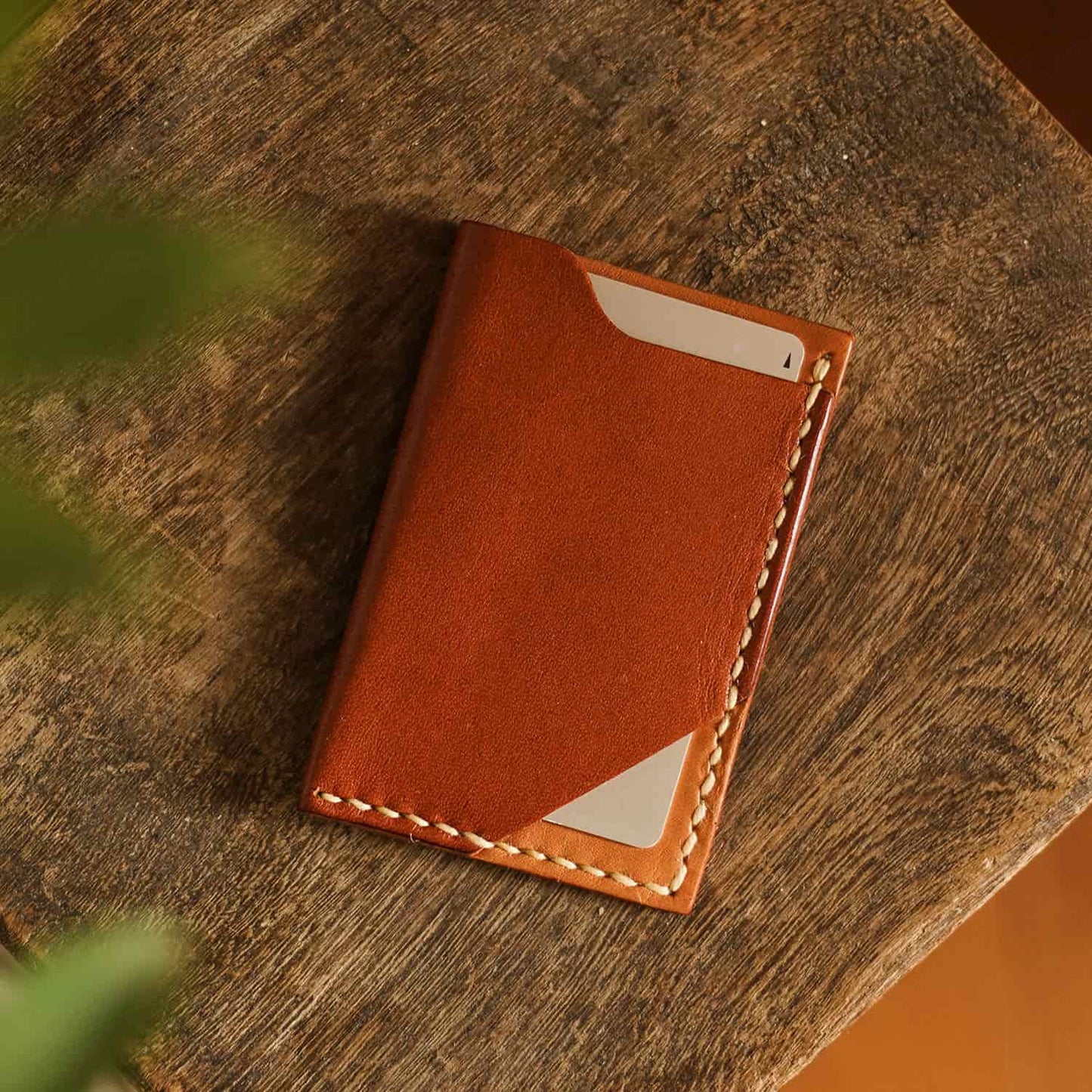 Pass Case