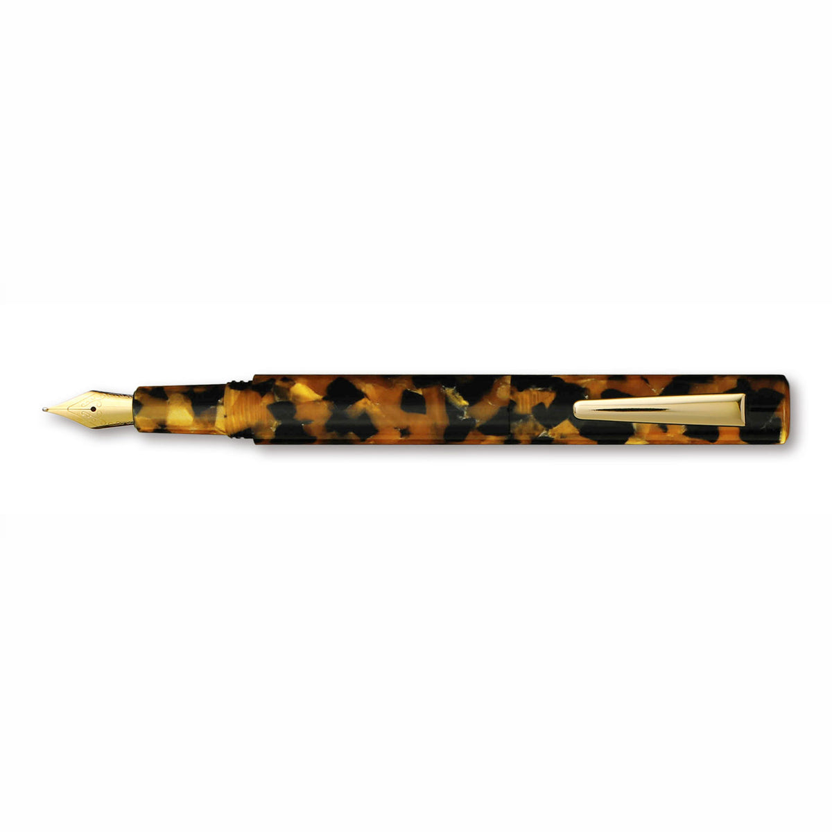 Marbled Fountain Pen