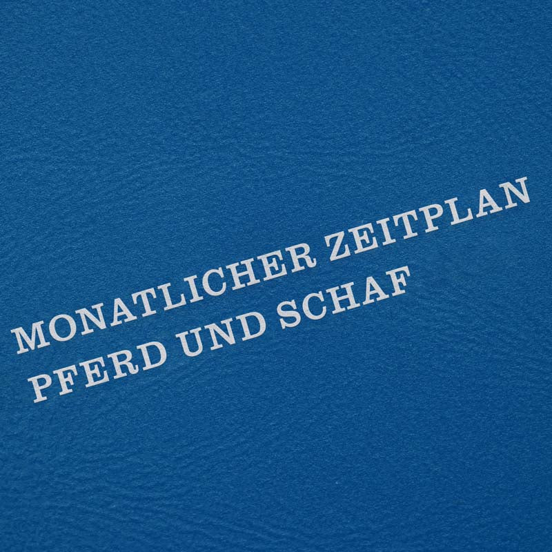 2027 Monthly Diary Tierkreis B6 (NK3)