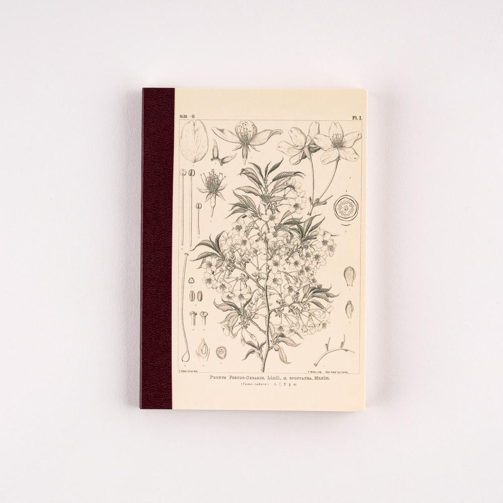Tomitaro Makino: Hobonichi Graph Notebook (A6) - Yamazakura
