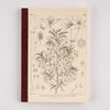 Tomitaro Makino: Hobonichi Graph Notebook (A5) - Yamazakura